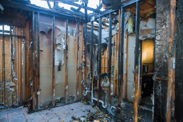 Professional Smoke Damage Removal technician working in Rural Retreat, VA